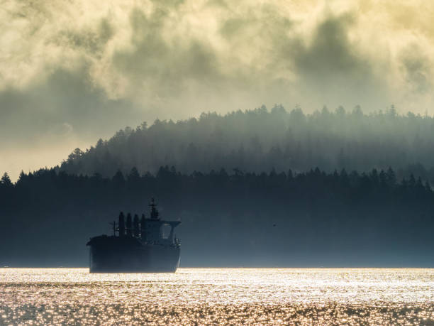 istock Vancouver Island British Columbia 1247981233