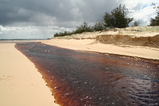 Tea Tree Creek, Lake Boomanjin, Great Sandy National Park, Fraser Island