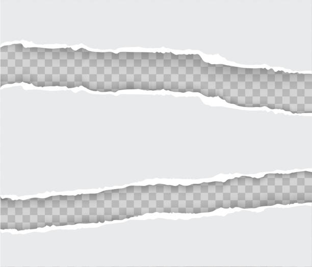 W Ripped Paper 380+ Torn Paper Transparent Stock Illustrations, Royalty-Free Vector ...