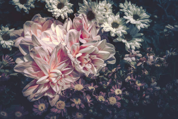 istock Flower Field background. Vintage style 1248009467