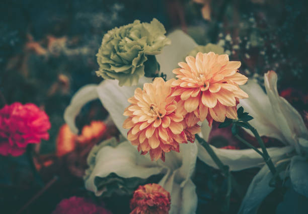 istock Flower Field background. Vintage style 1248009477