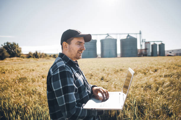 istock Young modern farmer use laptop in the wheat field 1248011883