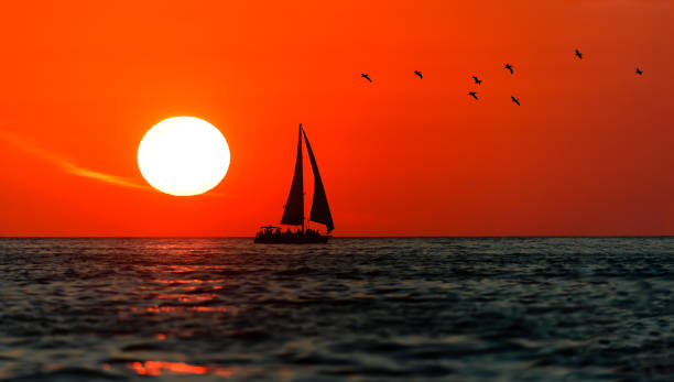 istock Sailboat Sunset Sailing Birds 1248040473
