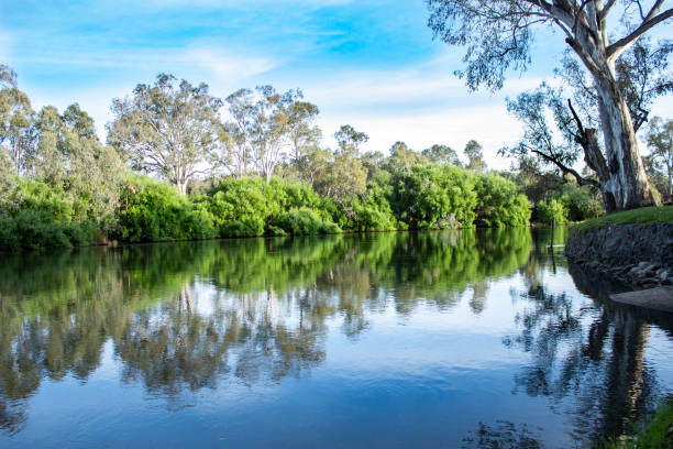 istock Tranquil reflections of trees in river water surface with Eucalyptus gum trees against blue sky 1248054651