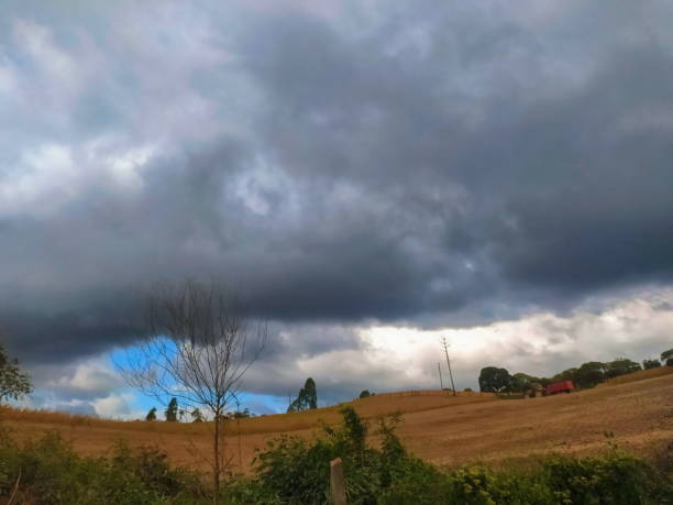 istock Landscape of Santa Catarina 1248055681