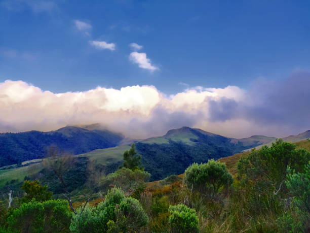 istock Landscape of Santa Catarina 1248057151