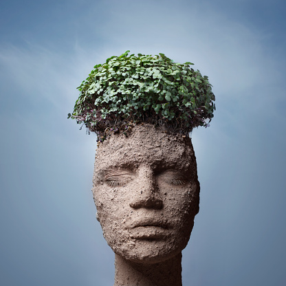 Concept of stress and anxiety damaged female mannequin head outdoors