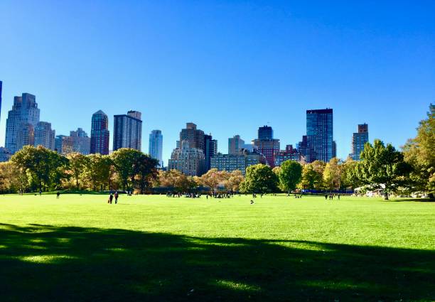 istock Park In the City 1248065029