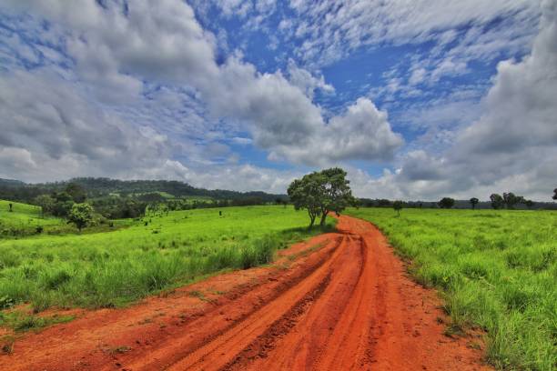 istock Thung Salaeng Luang National Park, Thailand 1248066421