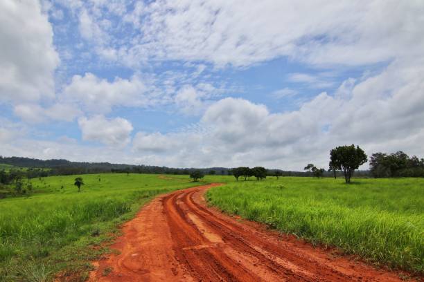 istock Thung Salaeng Luang National Park, Thailand 1248066422
