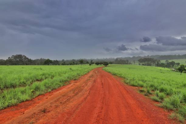 istock Thung Salaeng Luang National Park, Thailand 1248066429