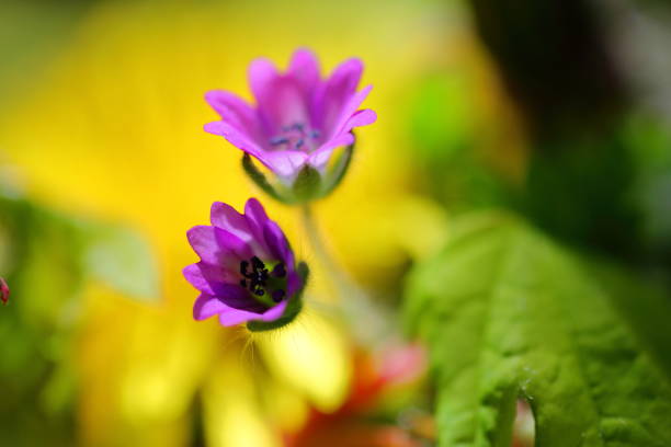 spring new life, beautiful life, moments that inspire you with color and life, shade and inanimate things