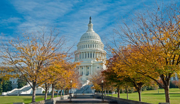 The United States Capitol is the meeting place of the United States Congress, the legislature of the Federal government of the United States. Located in Washington, D.C., it sits atop Capitol Hill at the eastern end of the National Mall. el capitolio de los estados unidos es el lugar de reunión del congreso de los estados unidos, la legislatura del gobierno federal de los estados unidos. ubicado en washington, d.c., está ubicado en lo alto de capitol hill en el extremo oriental del natio