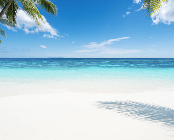 istock Beautiful tropical beach and turquoise sea with clear sky 1248073138