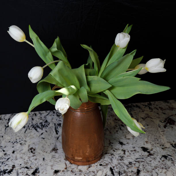 istock White Tulips Flowers in a Copper Pitcher on a Stone Counter 1248076454