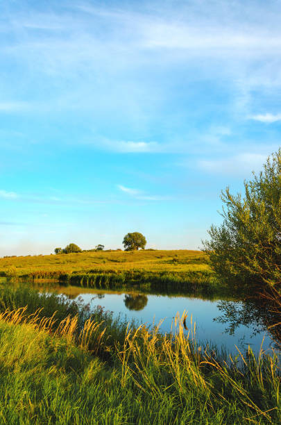 istock Sunny sunset view of river and green meadows with trees on a background. 1248086109