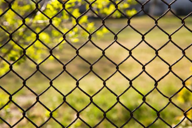 istock Iron mesh fence on a background of nature 1248092876