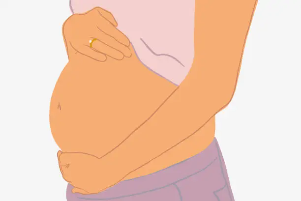 Vector illustration of Pregnant woman's belly on the background