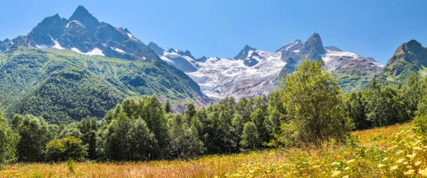 istock Panorama Caucasus Mountains, Dombay. Glacier and forest. 1248117733