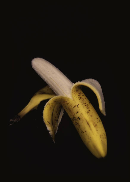 istock Food art 1248117804