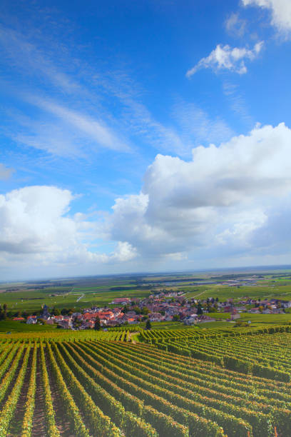 istock Burgundy vineyards 1248118505