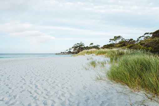 White sand beach seen at the Bay of Fires on the east coast of Tasmania, Australia.