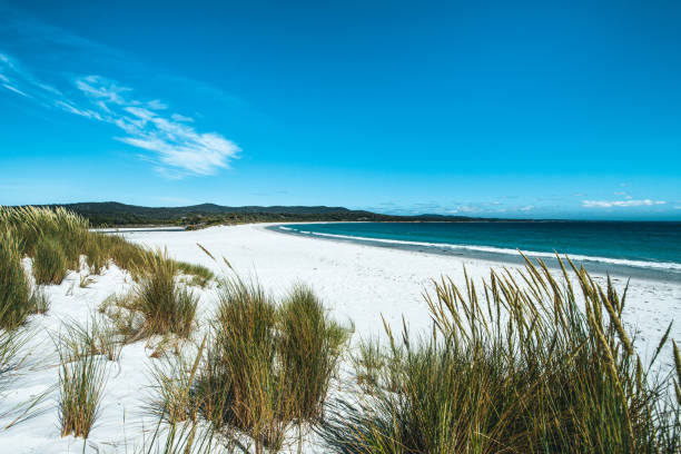 istock White sand paradise beach in Tasmania, Australia 1248118618