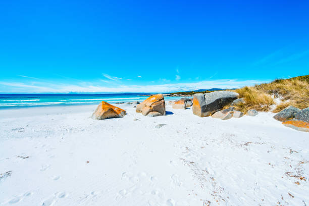 istock Bay of Fires, Tasmania, Australia 1248118694