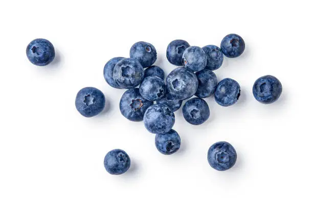 Fresh blueberries with bluberry leaves isolated on white background. Top vew.