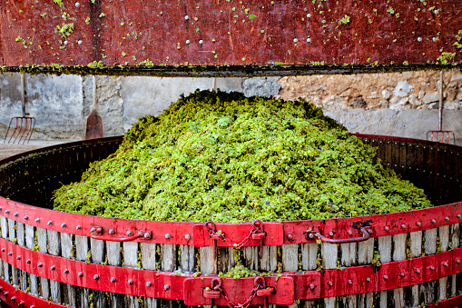 Pressing the grapes with an old press of a Champagne producer near Reims and Epernay.
