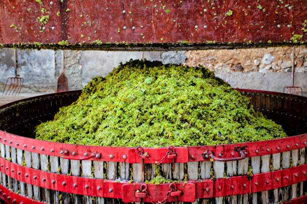 Old grape press for Champagne wine Pressing the grapes with an old press of a Champagne producer near Reims and Epernay. champagne grapes stock pictures, royalty-free photos & images