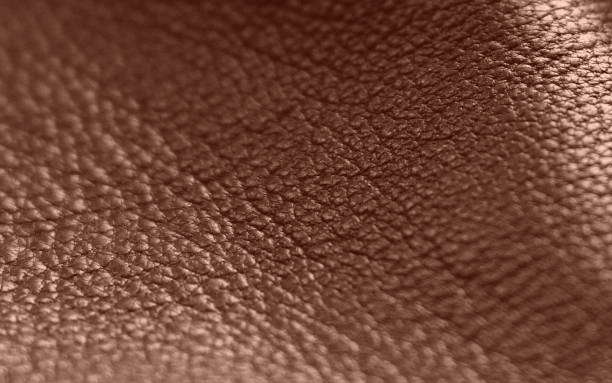 istock The texture of genuine leather. Brown background. 1248123958