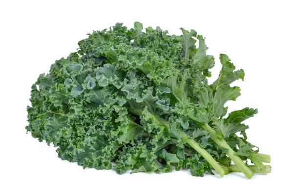 istock Super Food (kale)on white background 1248124252