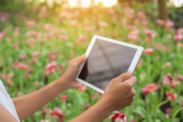 istock Young Woman Using or Playing Tablet in Garden. 1248124456
