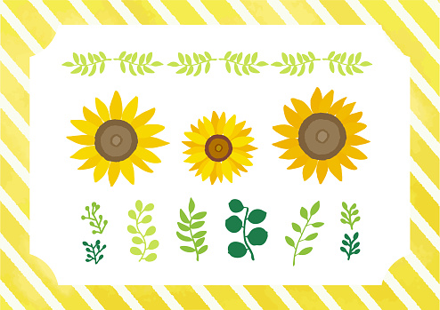 Set of different greenery isolated objects. Isolated vector illustration for summer design.