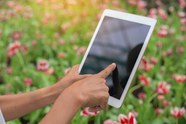 istock Young Woman Using or Playing Tablet in Garden. 1248124467