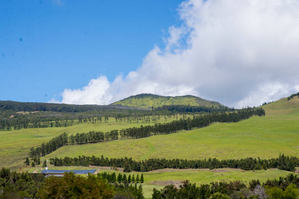 istock Beautiful Rural Landscape in Hawaii 1248126045