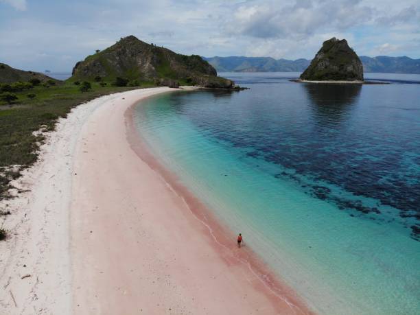 istock Beautiful Long Pink Beach 1248134560