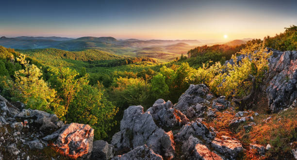 istock Spring forest moutain landscape panorama at sunrise, Slovakia 1248134608