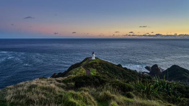 istock Light House of Cape Reinga 1248135343