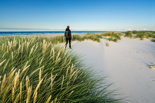 Young woman hiking in coastal dune marram grass at beach of North Sea. Beach dunes at Skagen Nordstrand where Baltic Sea and North Sea are colliding. Skagerrak, Skagen, Denmark.
