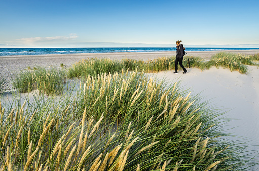 Young woman hiking in coastal dune marram grass at beach of North Sea. Beach dunes at Skagen Nordstrand where Baltic Sea and North Sea are colliding. Skagerrak, Skagen, Denmark.