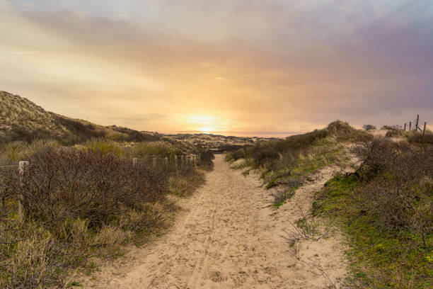 istock Sunset on a romantic sandy dune path at Noordwijk, Netherlands 1248137813