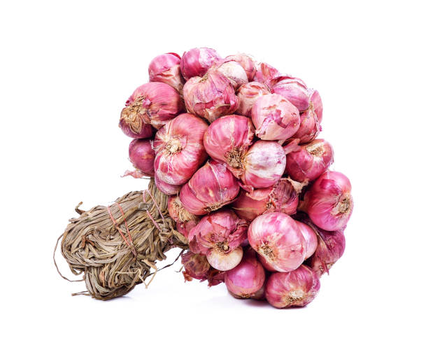 istock Shallot onions in a group on white background 1248139305