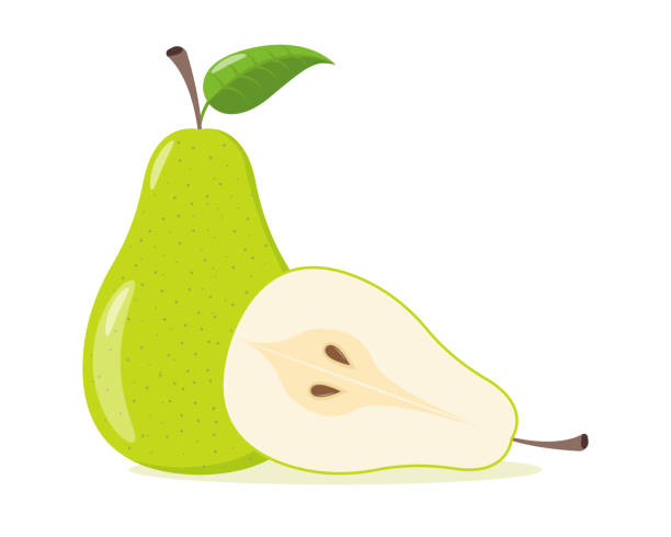 흰색 배경에 녹색 배를 격리 설정합니다. 벡터 그림입니다. 컷 그린 배 - two pears stock illustrations