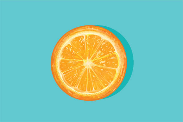 Orange cut half Fresh orange cut in half on a blue background orange color stock illustrations