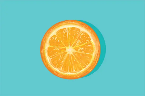 Vector illustration of Orange cut half