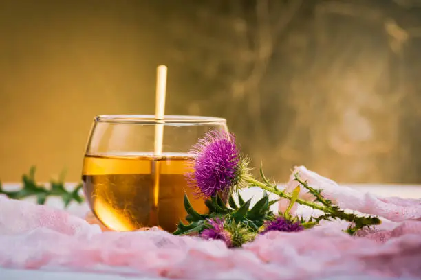 Milk thistle herbal tea and flower isolated against golden background, common herbal medicine plant for liver failure