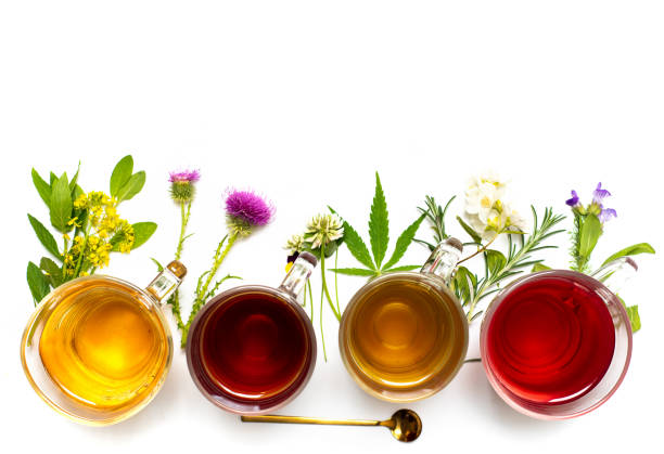 várias coleções de chá de ervas coloridas em xícaras de vidro no fundo branco - hibiscus single flower flower red - fotografias e filmes do acervo