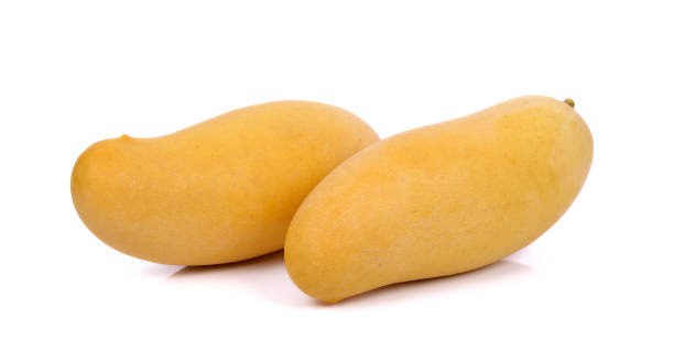 istock Ripe mangoes on a white background 1248142944